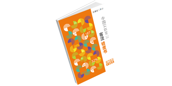 免费获取《桔皮书》2024年度汇报